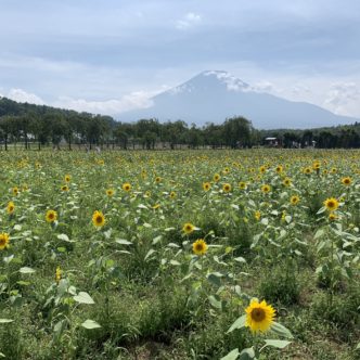 夏の思い出