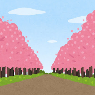 桜咲いていますね！